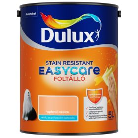 Dulux EASYCARE napfonta csakra 5L